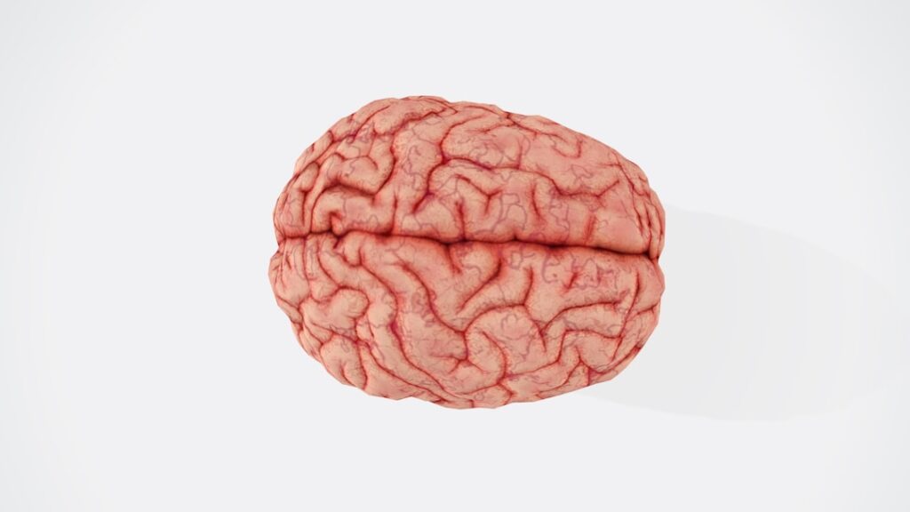 traumatic brain injury lawyer