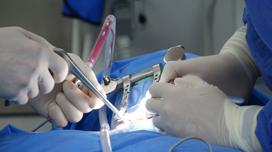 Spinal injury lawyer