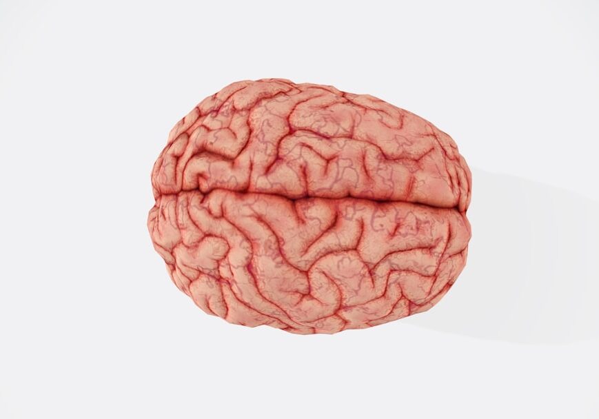 traumatic-brain-injury-lawyer-guide-image